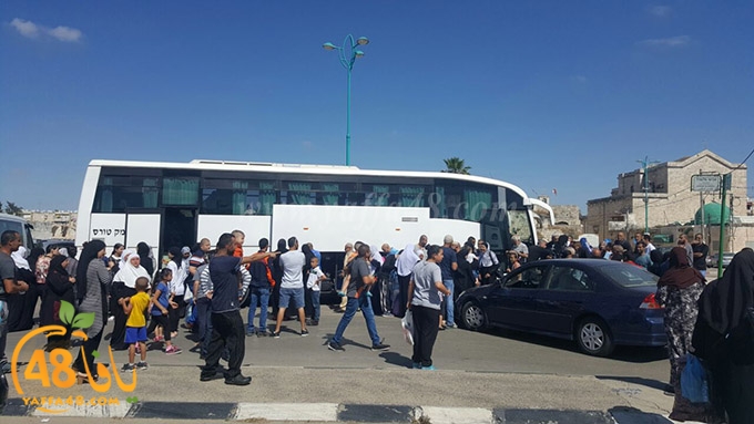 Mo3tmren lud ramla (2).jpg